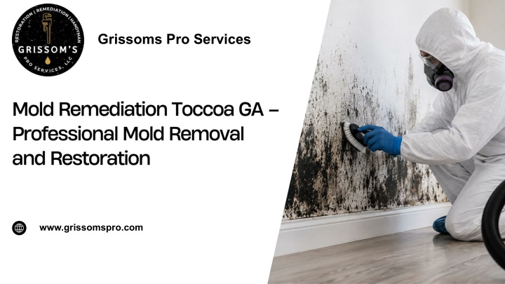 PPT - Mold Remediation Toccoa GA – Professional Mold Removal and Restoration PowerPoint Presentation - ID:14925225