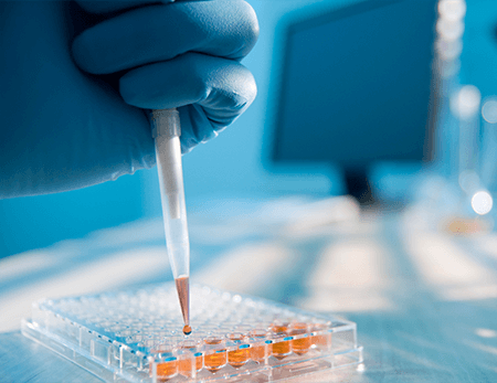 Fast and Accurate Cell Line Authenticate in India