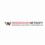 Ingenious Netsoft