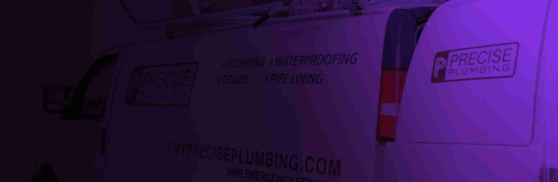 Precise Plumbing and Drain Services Milton