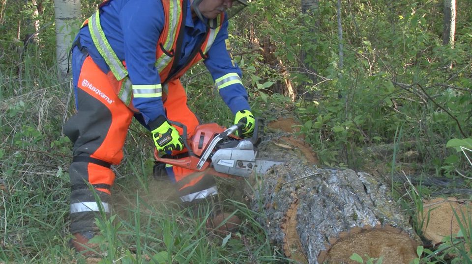 Chainsaw Safety Online Course | Chainsaw Safety Training by Online Safety Training