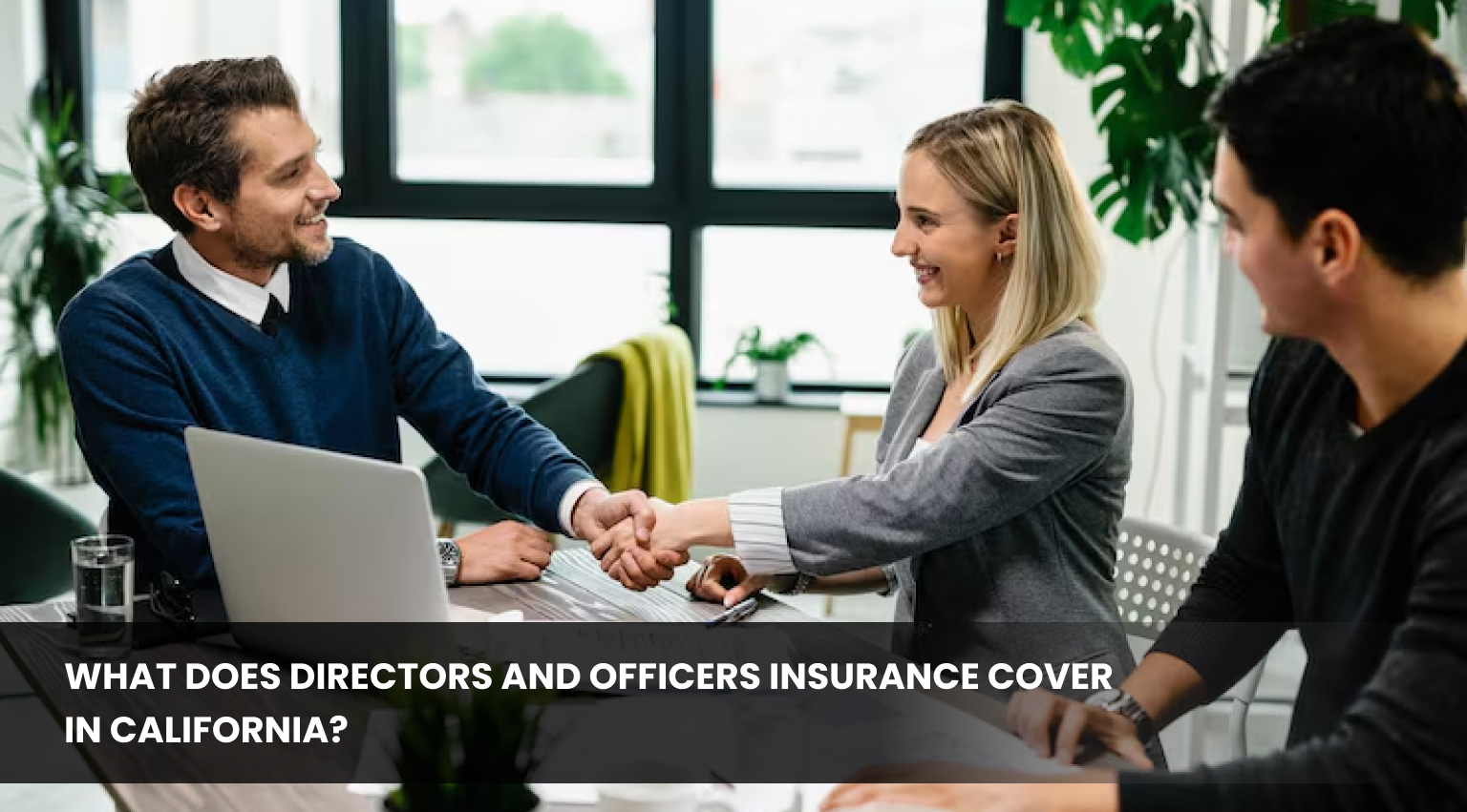 Directors and Officers Insurance California | D&O Guide