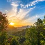 Bhimtal Homestay