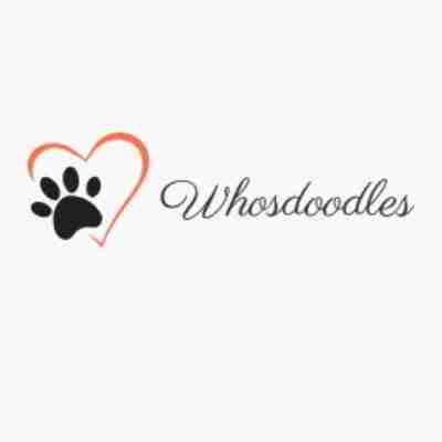 whosdoodles