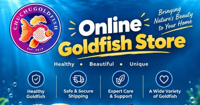 Online Goldfish Store