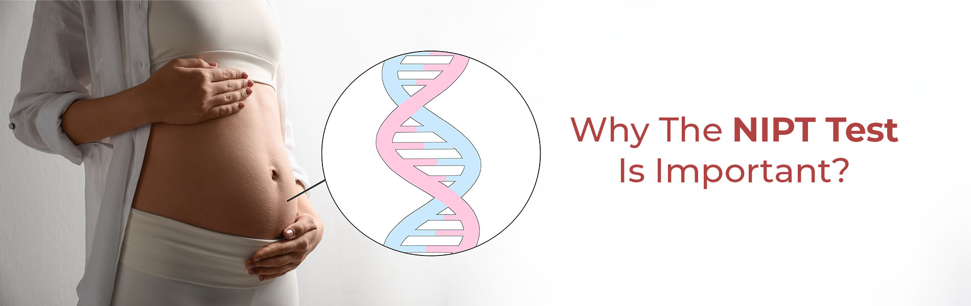 Understanding the NIPT Test: A Complete Pregnancy Screening Guide