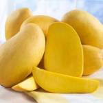 Mango companies in Pakistan
