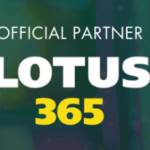 Lotus365IND