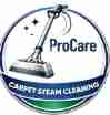 procarepetcleaning