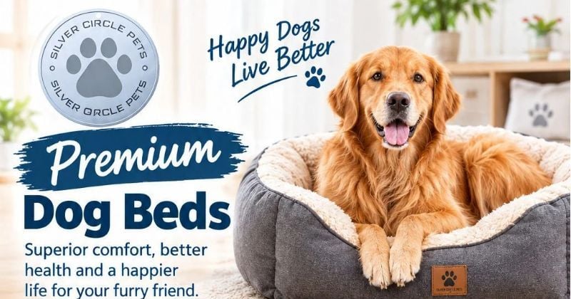 Premium Dog Beds