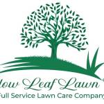 Willow Leaf Lawn Care