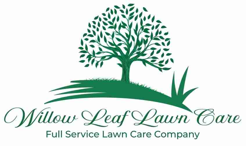 Willow Leaf Lawn Care