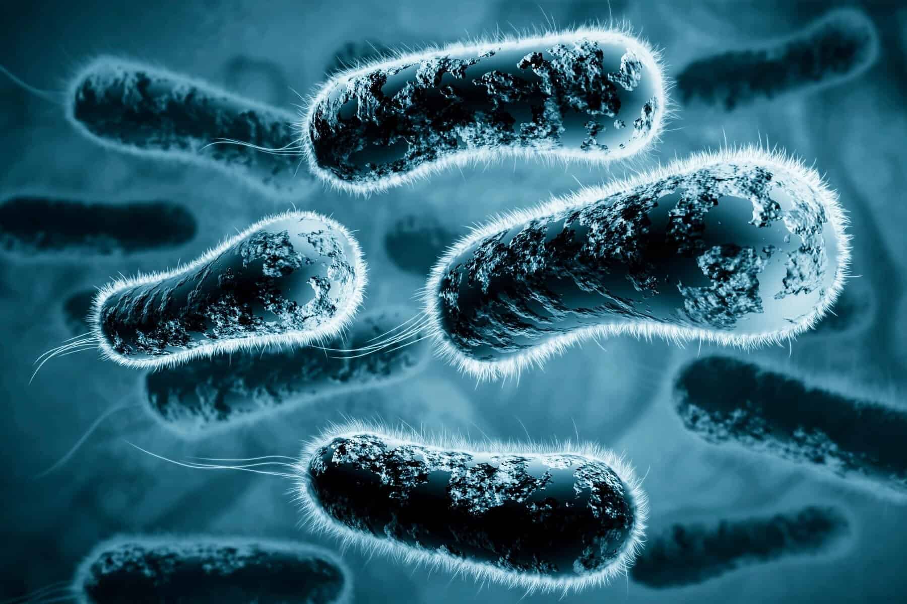 Composting Bioculture | Nanozyme Bioculture | Bionics