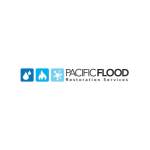 Pacific Flood Restoration San Marcos