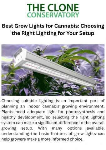 Best Grow Lights for Cannabis Choosing the Right Lighting for Your Setup