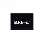 TikTok Wiz