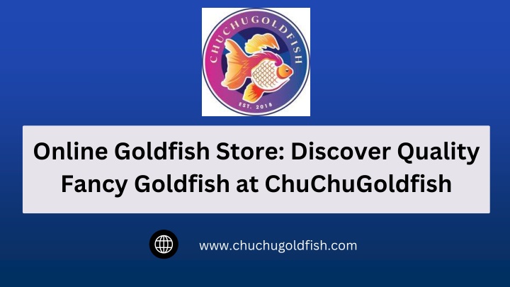 PPT - Online Goldfish Store: Discover Quality Fancy Goldfish at ChuChuGoldfish PowerPoint Presentation - ID:14920317