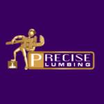 Precise Plumbing and Drain Services Milton