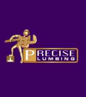 Precise Plumbing and Drain Services Milton
