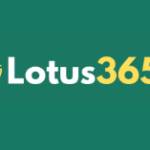 Lotus365 official