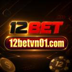 12Betvn01 com