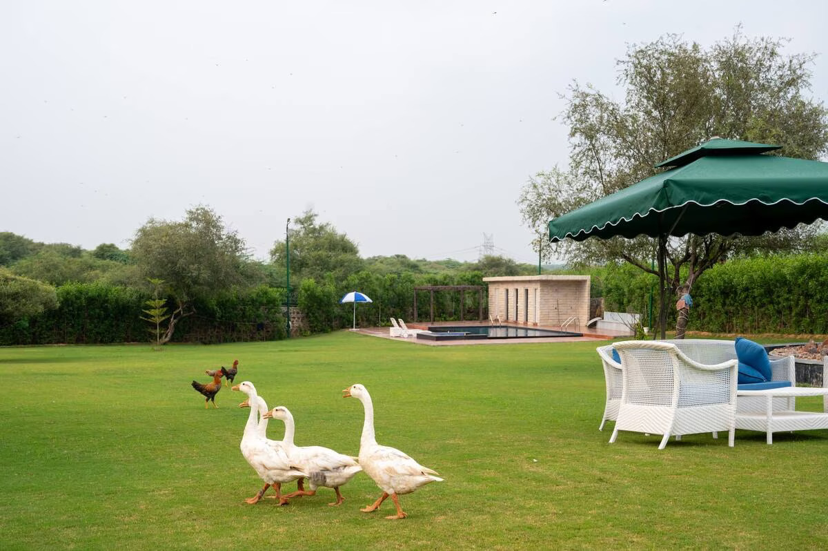 FAQs - Naugaon Farmhouses | NCR Farms