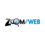 zoom into web