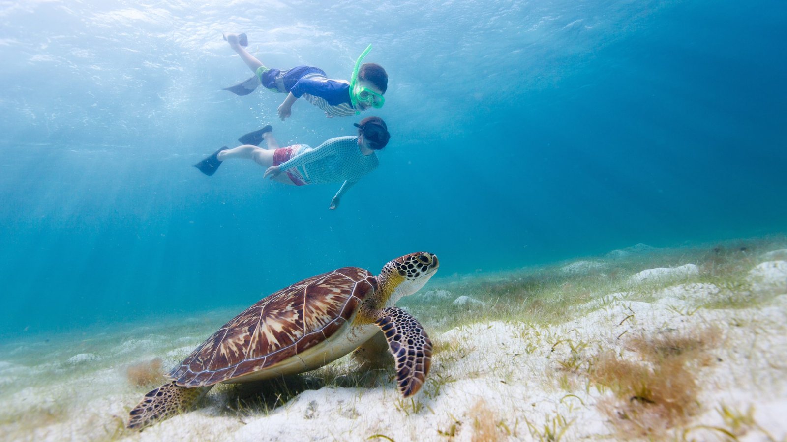 Private Daymaniyat Islands Snorkeling Tour Muscat