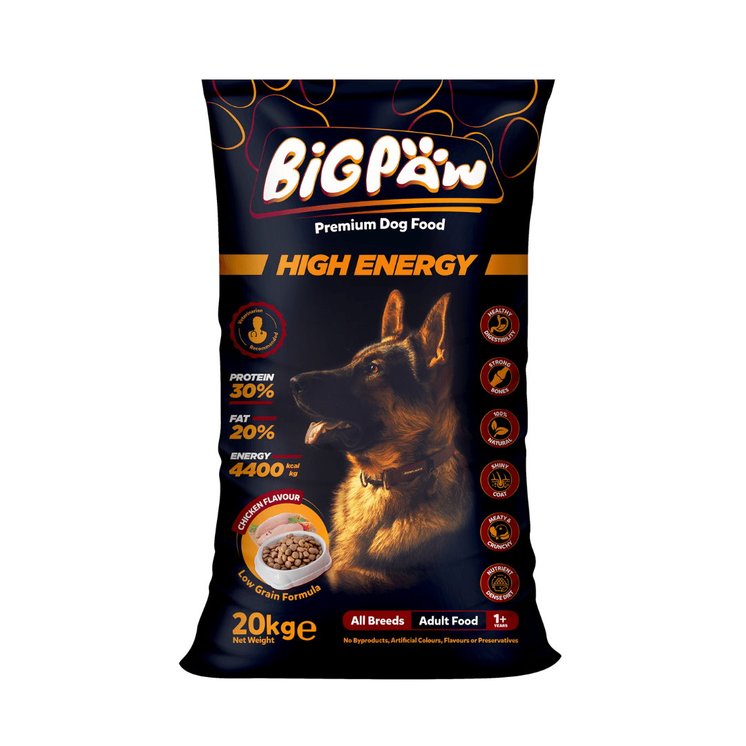 Big Paw High Energy Puppy Food in Pakistan