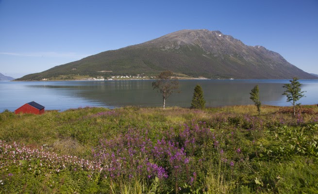 Uløya Norway: Discover Arctic Adventures with Lyngen Outdoor Center